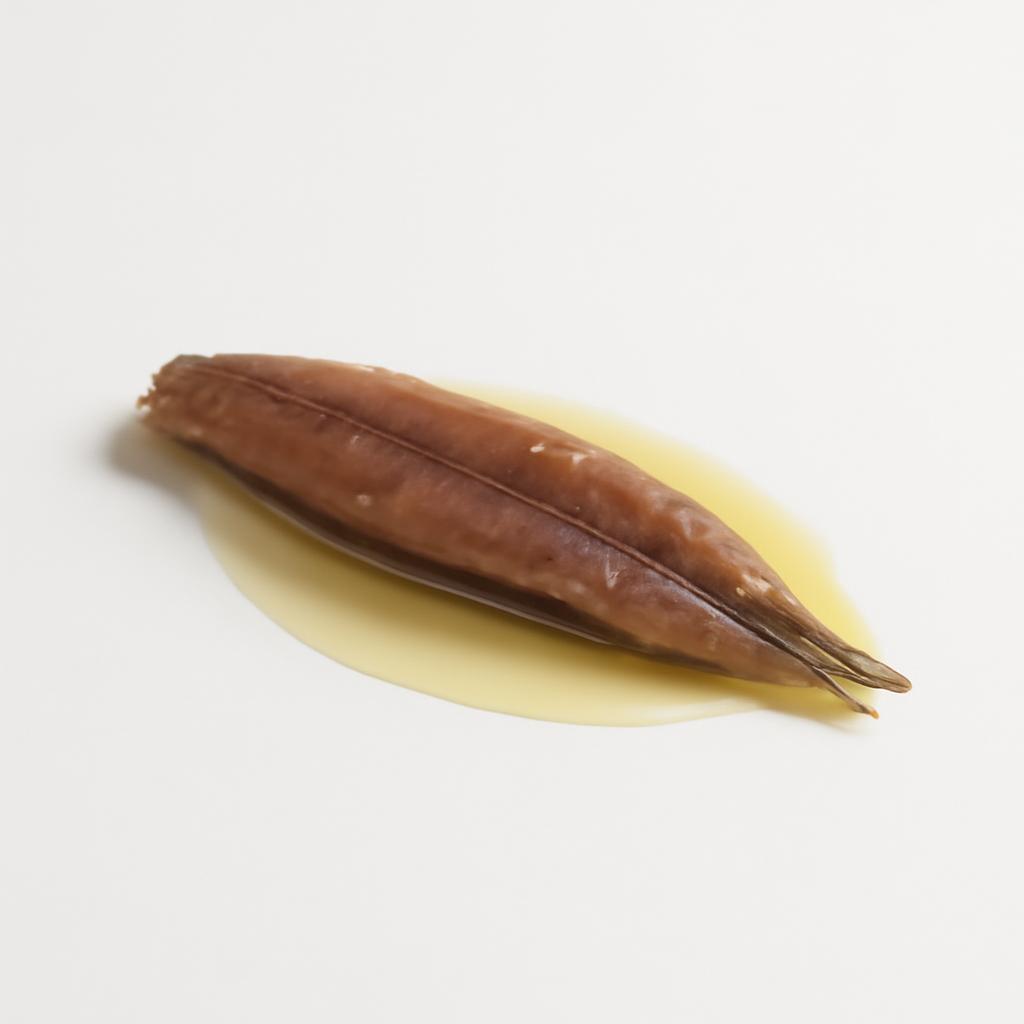 Anchoas en aceite vegetal