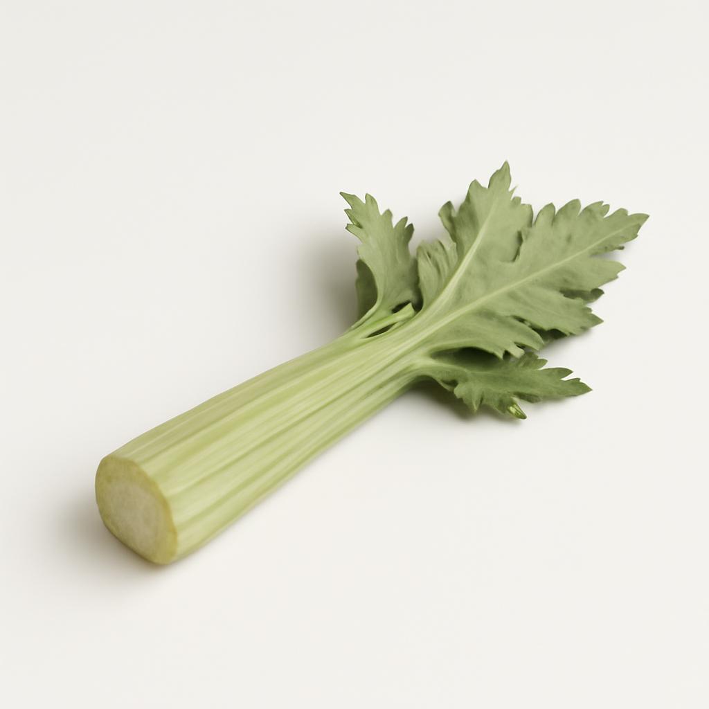 Cardo