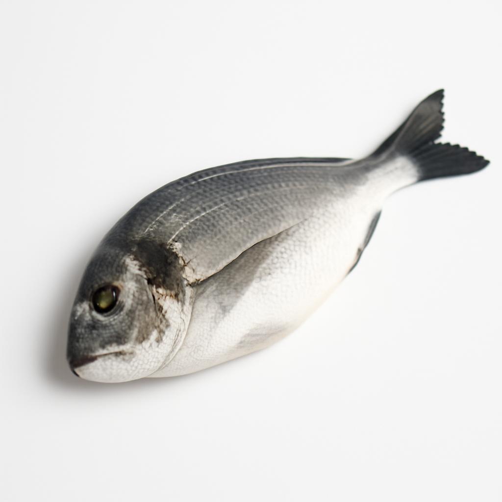 Dorada, plancha