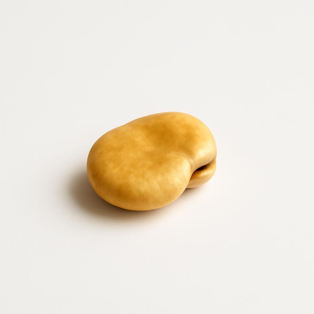 Haba, frita
