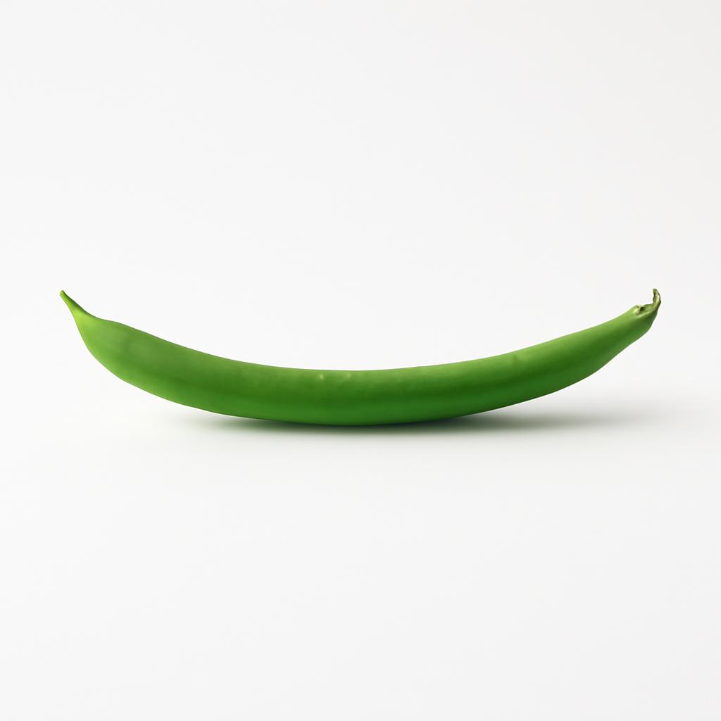 Judía verde, cruda