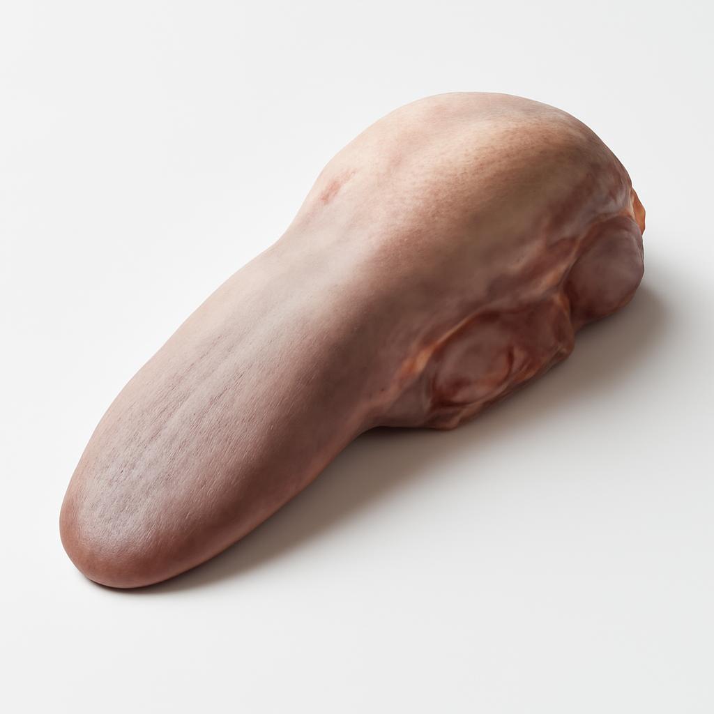 Lengua de cordero, cruda