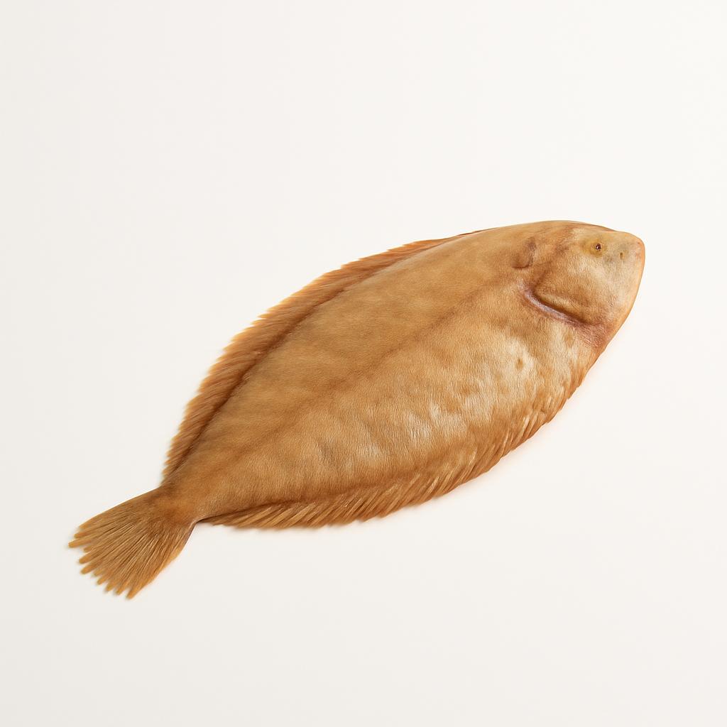 Lenguado, al horno