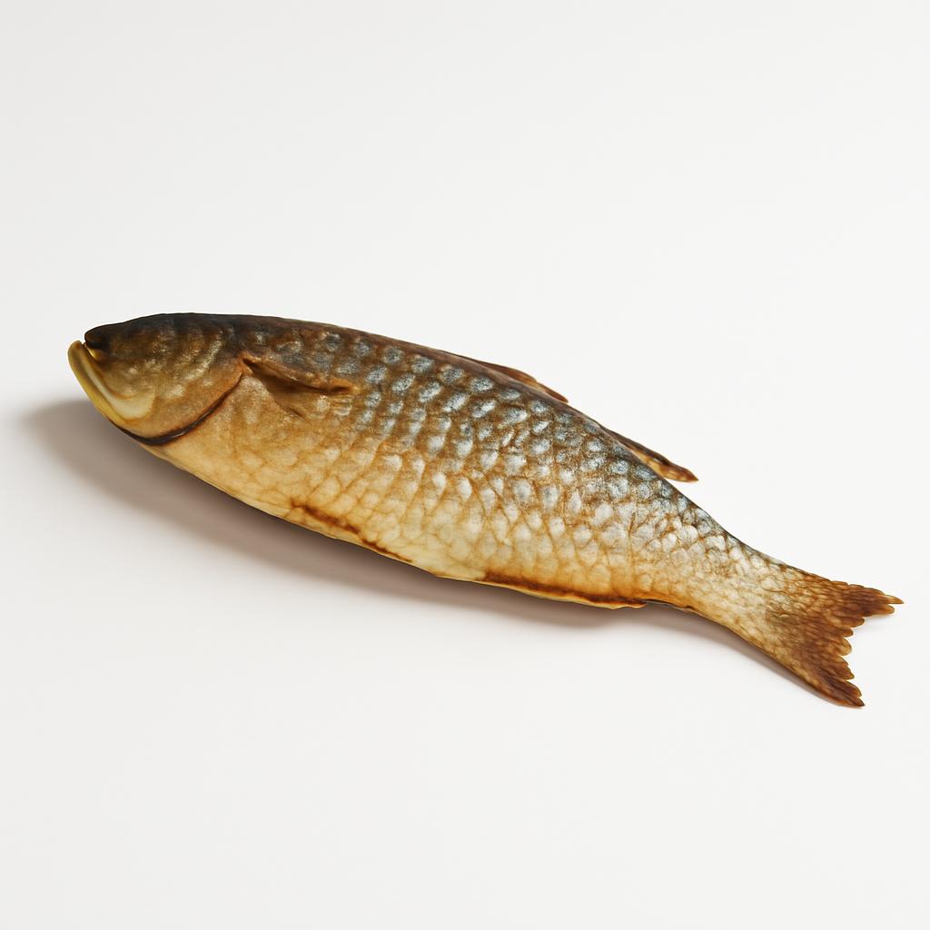Mújol, al horno