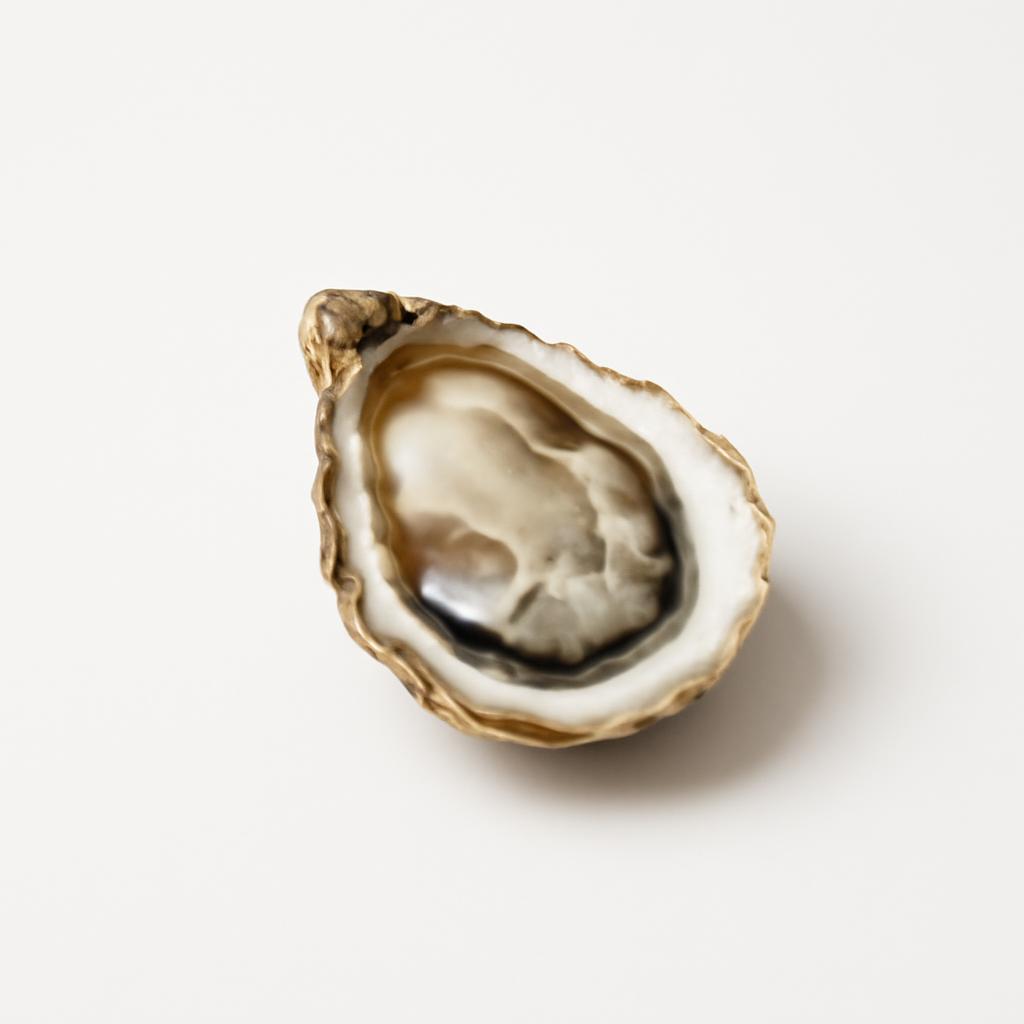 Ostra, cruda