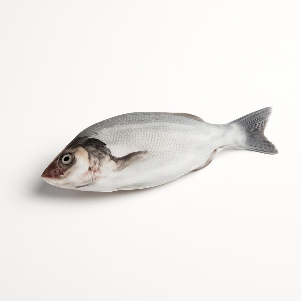 Pescado, genérico