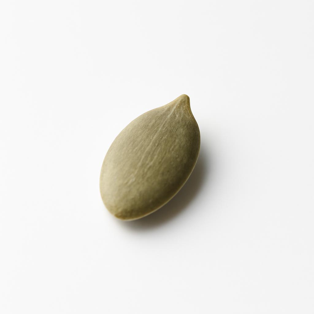 Pipa de calabaza